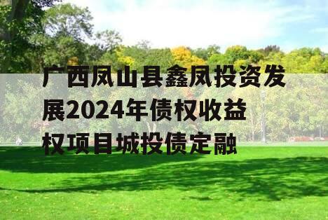 广西凤山县鑫凤投资发展2024年债权收益权项目城投债定融