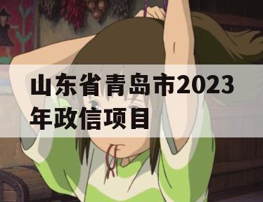 山东省青岛市2023年政信项目