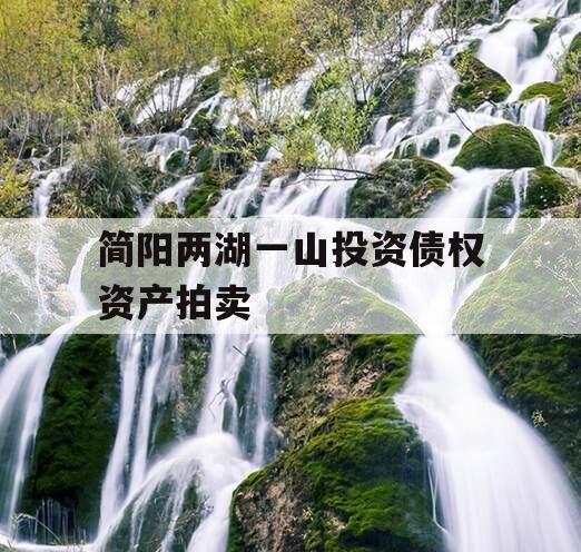 简阳两湖一山投资债权资产拍卖