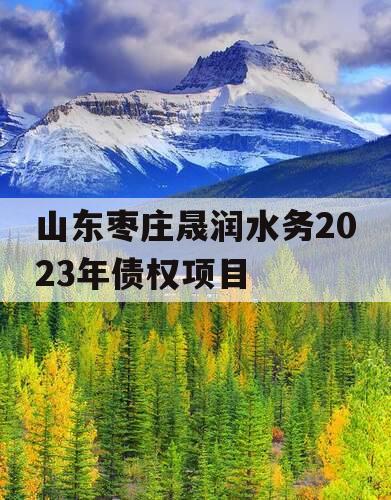 山东枣庄晟润水务2023年债权项目