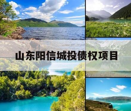 山东阳信城投债权项目