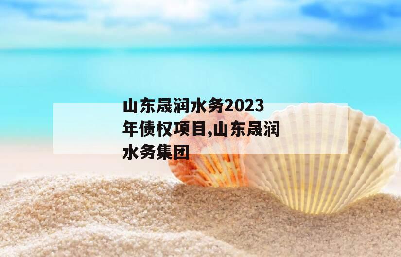 山东晟润水务2023年债权项目,山东晟润水务集团