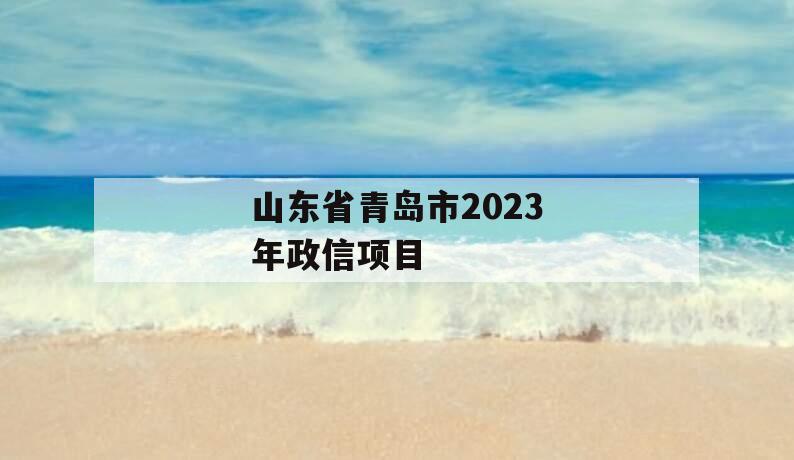 山东省青岛市2023年政信项目