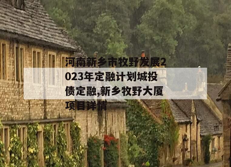 河南新乡市牧野发展2023年定融计划城投债定融,新乡牧野大厦项目详情