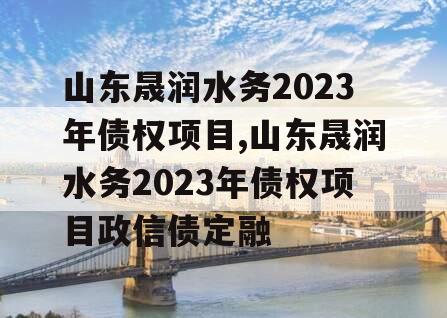 山东晟润水务2023年债权项目,山东晟润水务2023年债权项目政信债定融