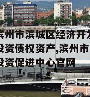 滨州市滨城区经济开发投资债权资产,滨州市投资促进中心官网