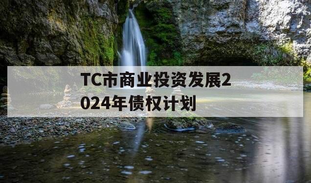 TC市商业投资发展2024年债权计划