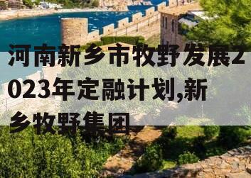 河南新乡市牧野发展2023年定融计划,新乡牧野集团