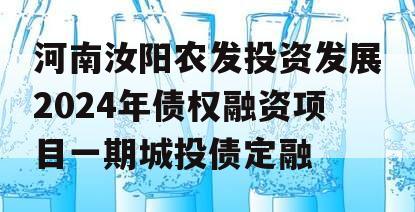 河南汝阳农发投资发展2024年债权融资项目一期城投债定融