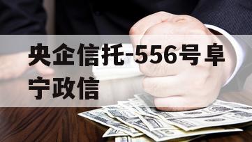 央企信托-556号阜宁政信