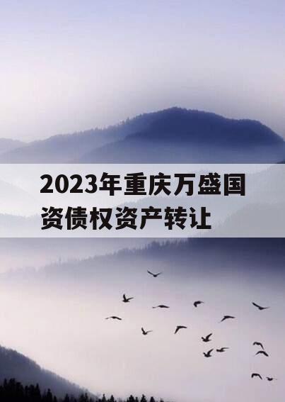 2023年重庆万盛国资债权资产转让