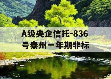 A级央企信托-836号泰州一年期非标