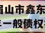 四川眉山市鑫东商贸2024年一般债权拍卖