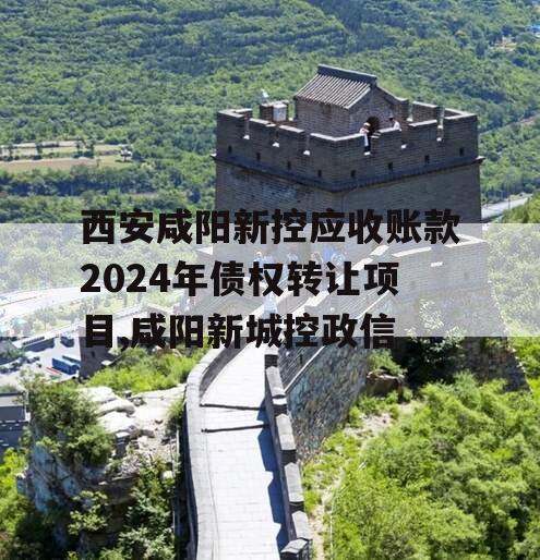 西安咸阳新控应收账款2024年债权转让项目,咸阳新城控政信