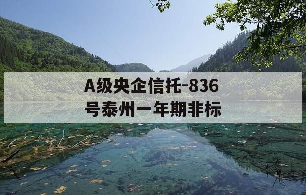 A级央企信托-836号泰州一年期非标