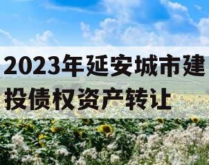 2023年延安城市建投债权资产转让