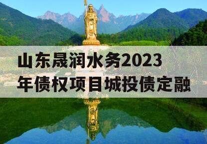 山东晟润水务2023年债权项目城投债定融