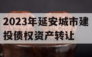 2023年延安城市建投债权资产转让