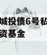 金泽城投债6号私募证券投资基金