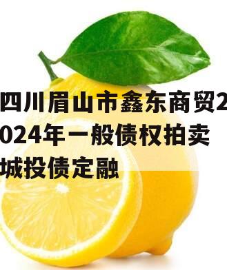 四川眉山市鑫东商贸2024年一般债权拍卖城投债定融