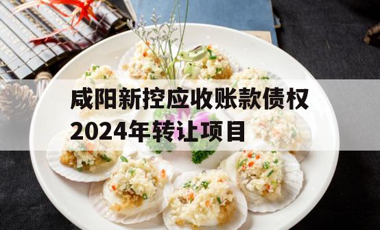 咸阳新控应收账款债权2024年转让项目