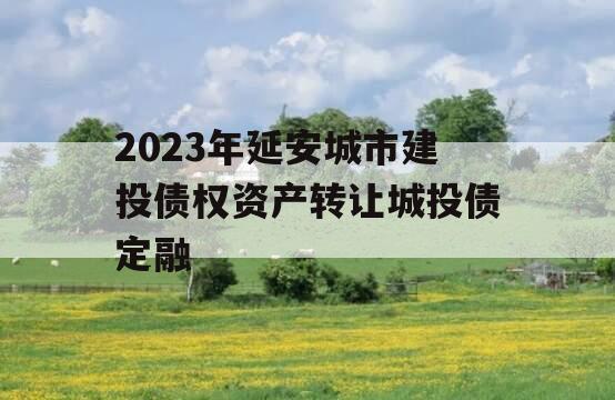 2023年延安城市建投债权资产转让城投债定融