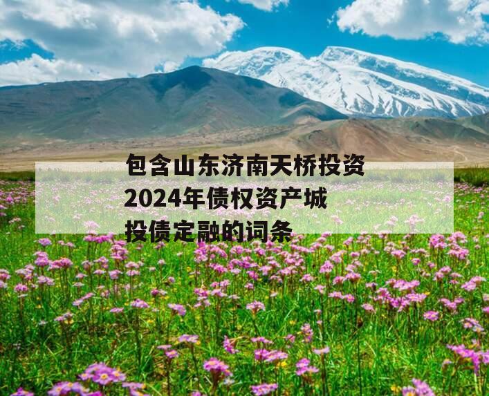 包含山东济南天桥投资2024年债权资产城投债定融的词条