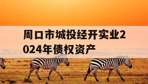 周口市城投经开实业2024年债权资产