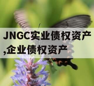 JNGC实业债权资产,企业债权资产