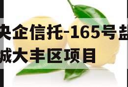 央企信托-165号盐城大丰区项目