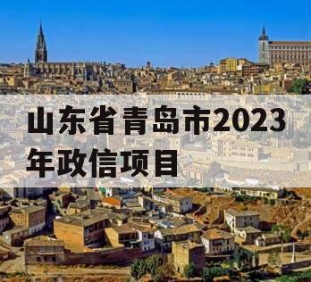 山东省青岛市2023年政信项目