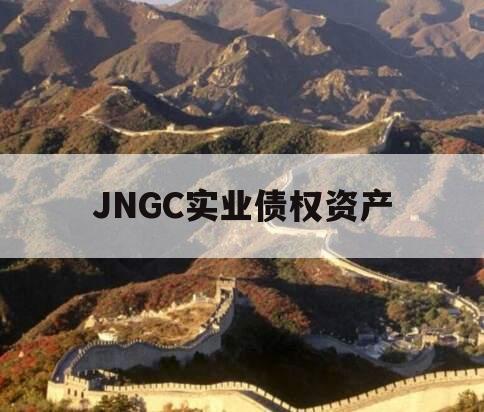 JNGC实业债权资产