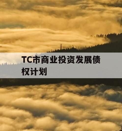 TC市商业投资发展债权计划