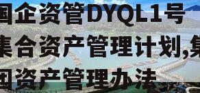 国企资管DYQL1号集合资产管理计划,集团资产管理办法