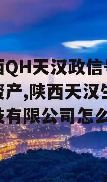 陕西QH天汉政信号债权资产,陕西天汉生物科技有限公司怎么样