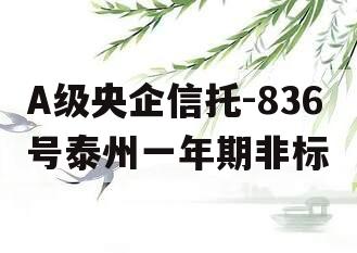 A级央企信托-836号泰州一年期非标