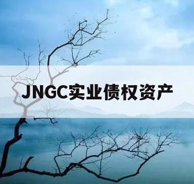 JNGC实业债权资产