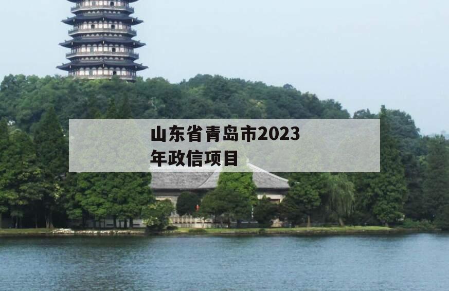 山东省青岛市2023年政信项目