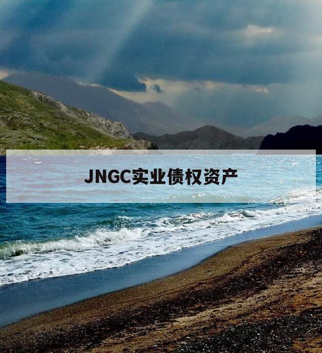 JNGC实业债权资产