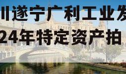 四川遂宁广利工业发展2024年特定资产拍卖