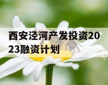 西安泾河产发投资2023融资计划