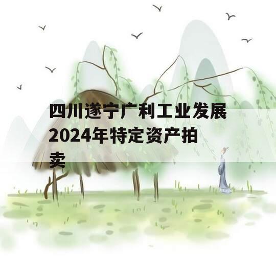 四川遂宁广利工业发展2024年特定资产拍卖