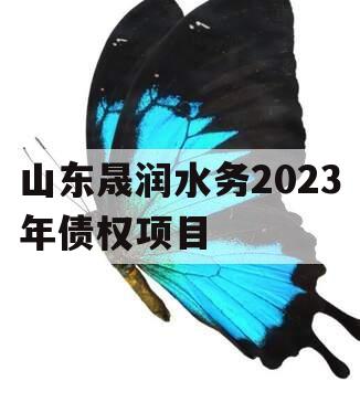 山东晟润水务2023年债权项目