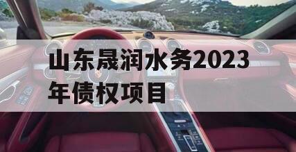 山东晟润水务2023年债权项目