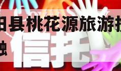 酉阳县桃花源旅游投资定融