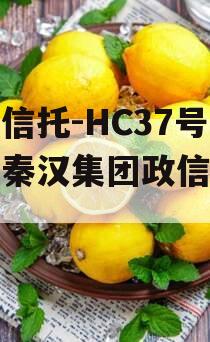 头部信托-HC37号西安秦汉集团政信信托计划