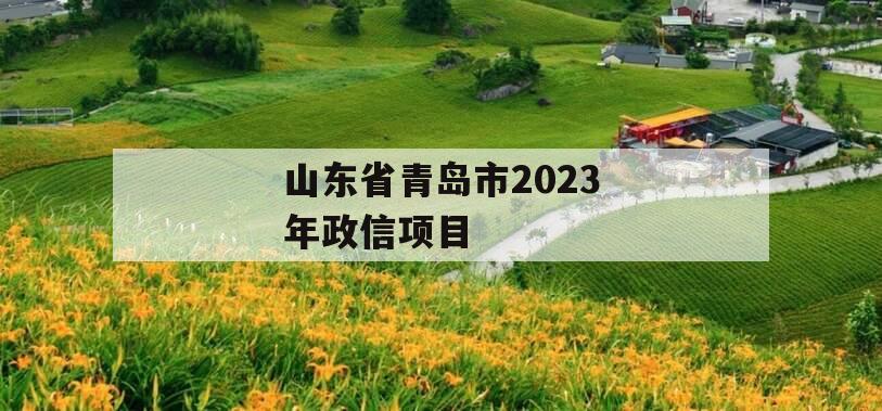 山东省青岛市2023年政信项目