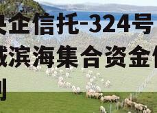 大央企信托-324号盐城滨海集合资金信托计划