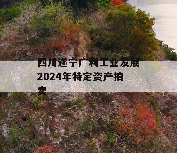 四川遂宁广利工业发展2024年特定资产拍卖