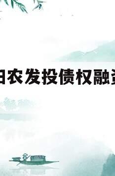 汝阳农发投债权融资项目